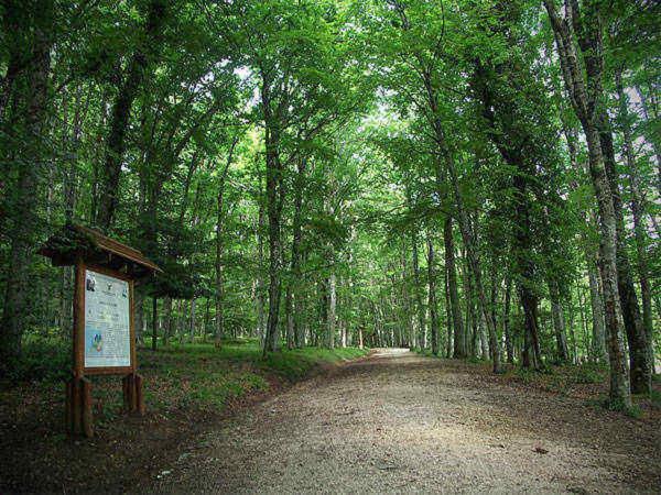Ca Sal Holiday Home Lesina Zewnętrze zdjęcie