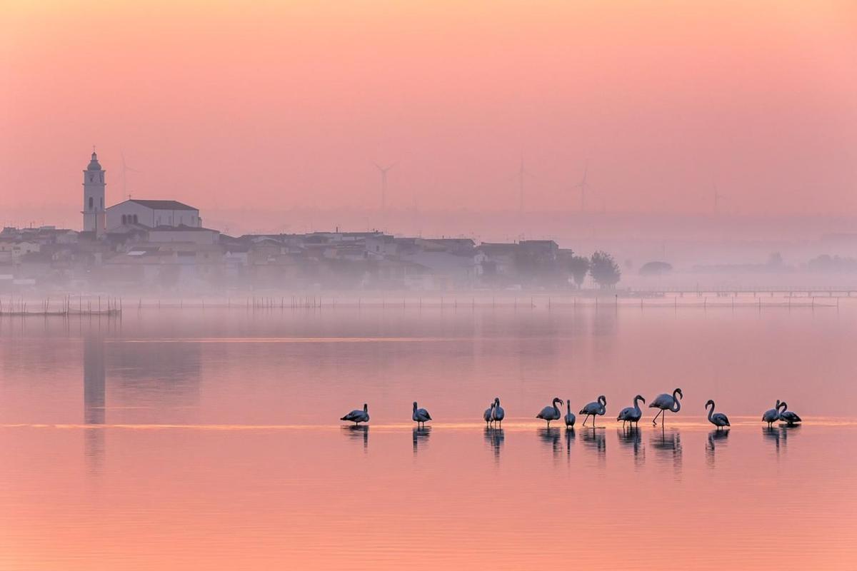 Ca Sal Holiday Home Lesina Zewnętrze zdjęcie