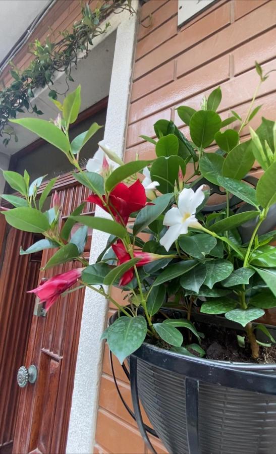 Ca Sal Holiday Home Lesina Zewnętrze zdjęcie